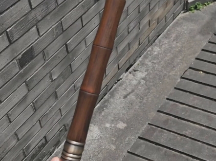 玉竹剑,手杖剑