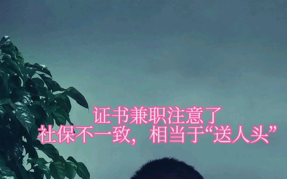 证书兼职挂靠的同学注意了哔哩哔哩bilibili