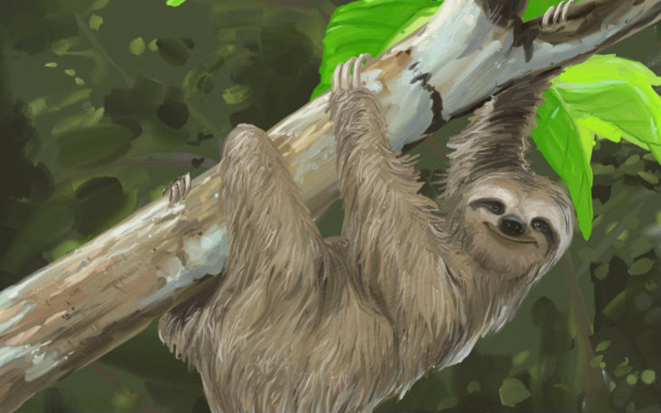 artrage 画"闪电"树懒