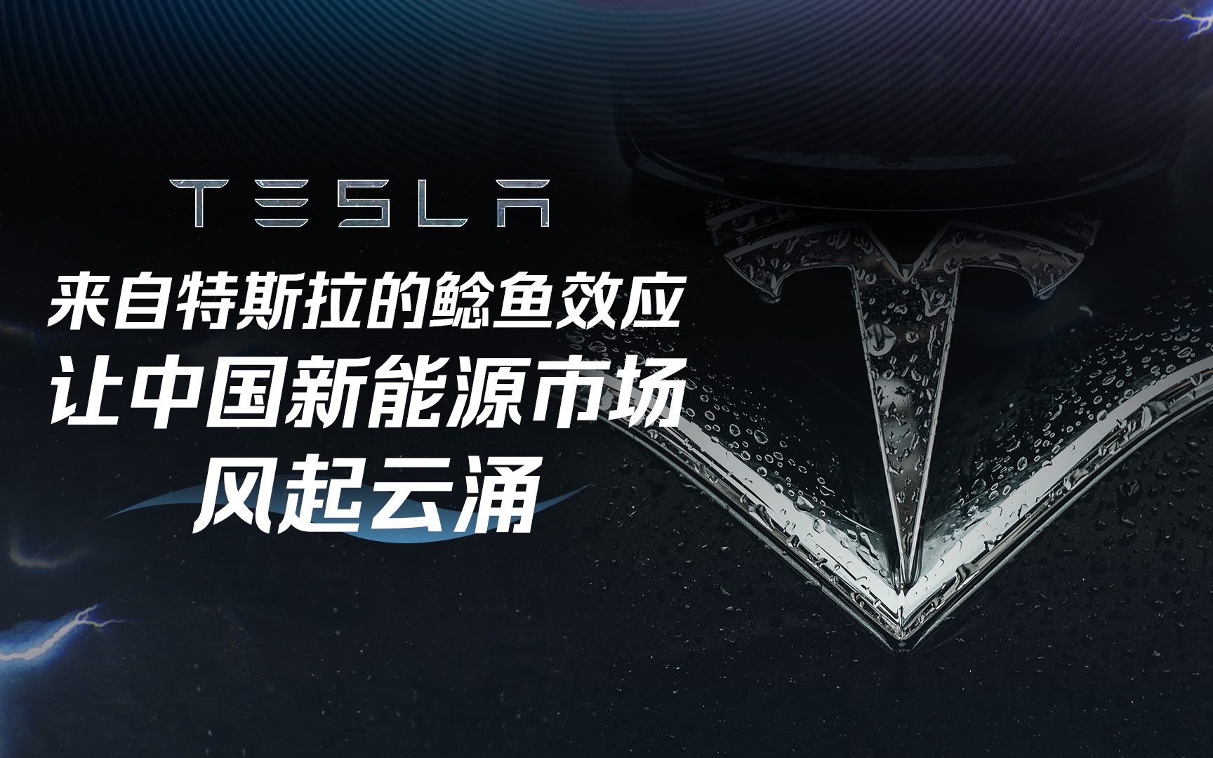 入驻中国市场的特斯拉演绎鲶鱼效应,产品热卖口碑却两极分化