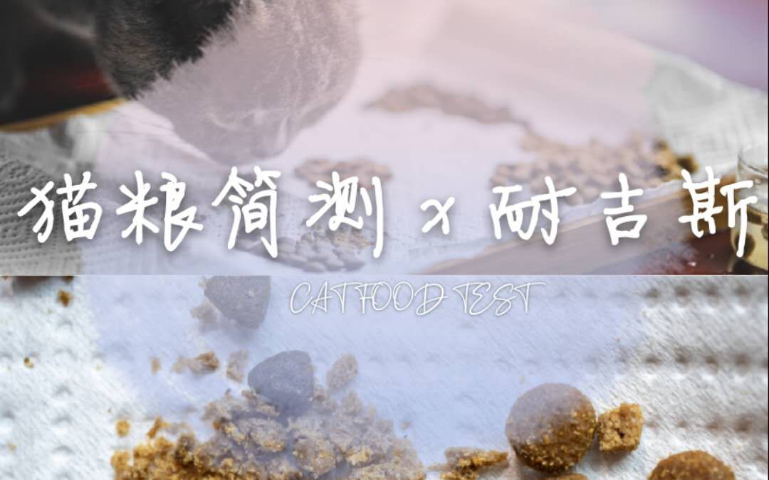 [CATLOG]猫粮试用对比,加拿大耐吉斯猫粮初步测试哔哩哔哩bilibili