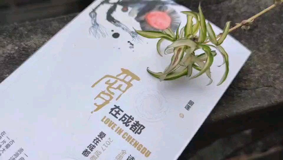 [图]诗电影《爱在成都》作者/银莲