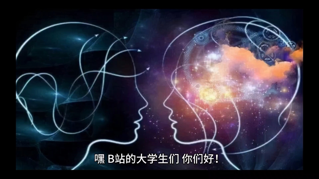 [图]《跨界天才达芬奇的计算机秘史：羽毛与翅膀的奥秘》