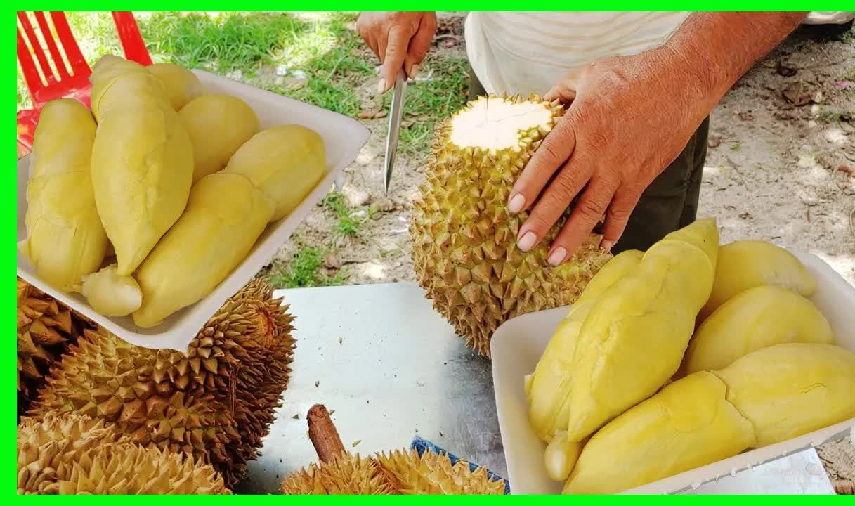 柬埔寨榴莲(视频4)manthong如何切开榴莲.
