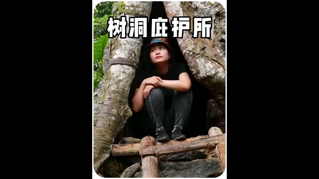 女人在树洞里搭建了一个庇护所