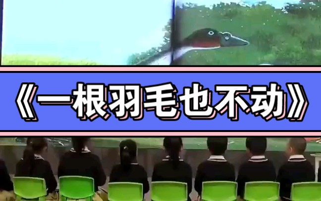 幼兒園公開課|大班語言《一根羽毛也不動》