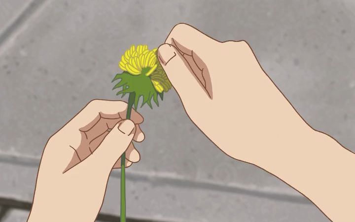 美国艺术家ancho poncho的动画作品 flower_哔哩哔哩_bilibili