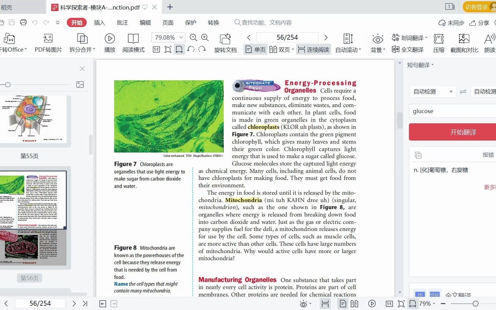 一起读科普英文----叶绿体,内质网