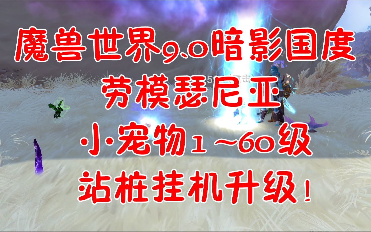 [图]WOW魔兽世界9.0暗影国度 劳模瑟尼亚 小宠物1~60站桩挂机升级 方法！