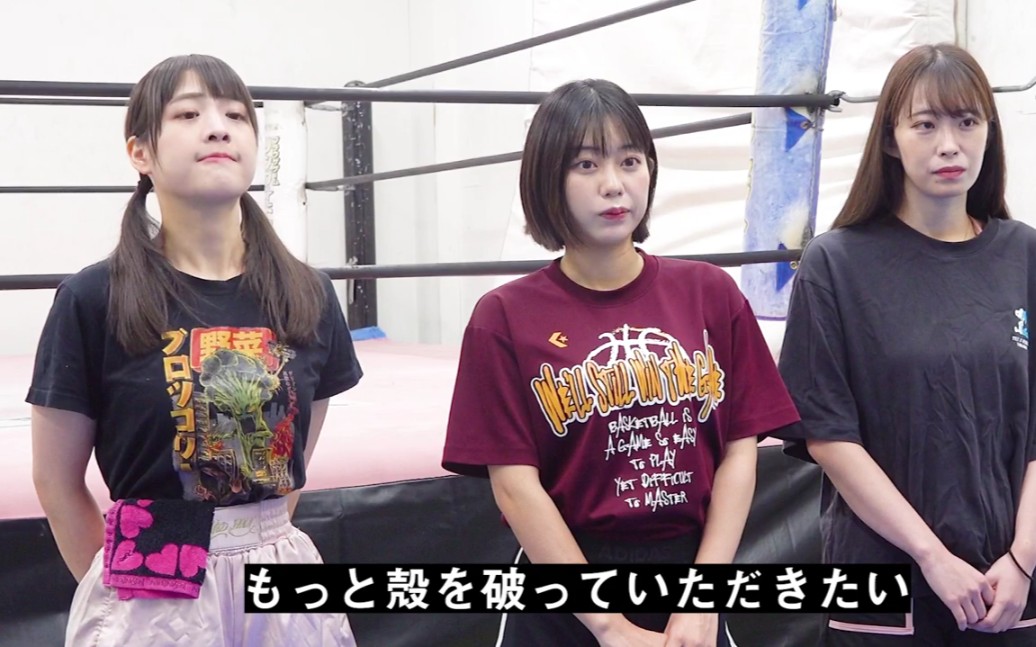 [图]东京女子摔角 (TJPW) 夢プロレス－dream on the ring