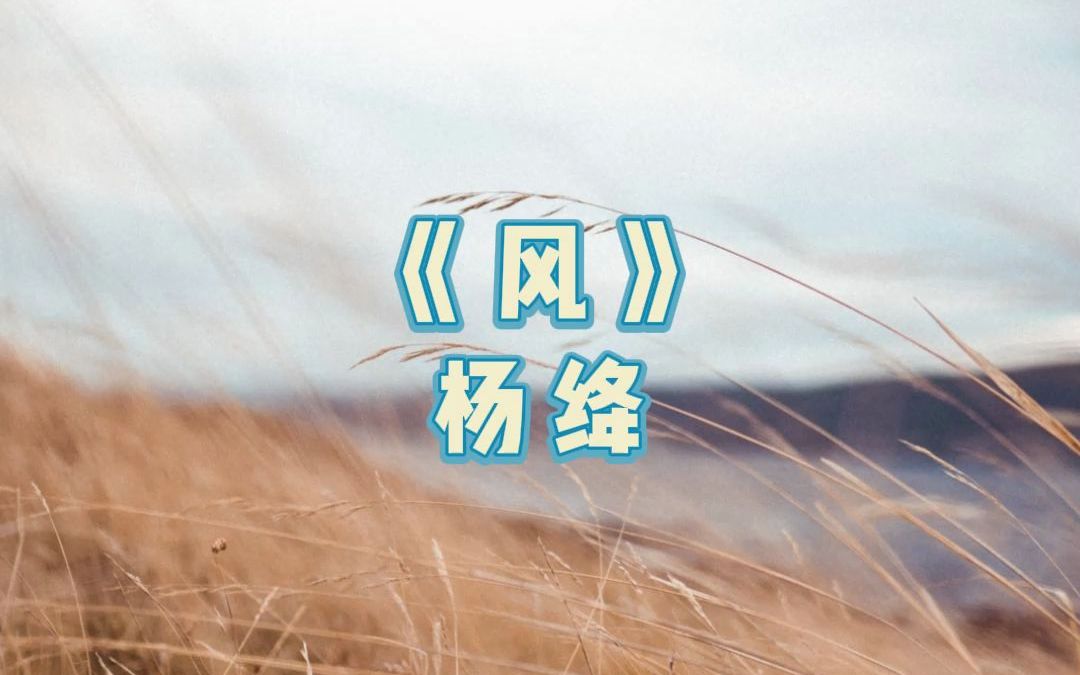 每日晨读 | 杨绛《风》No.1023哔哩哔哩bilibili