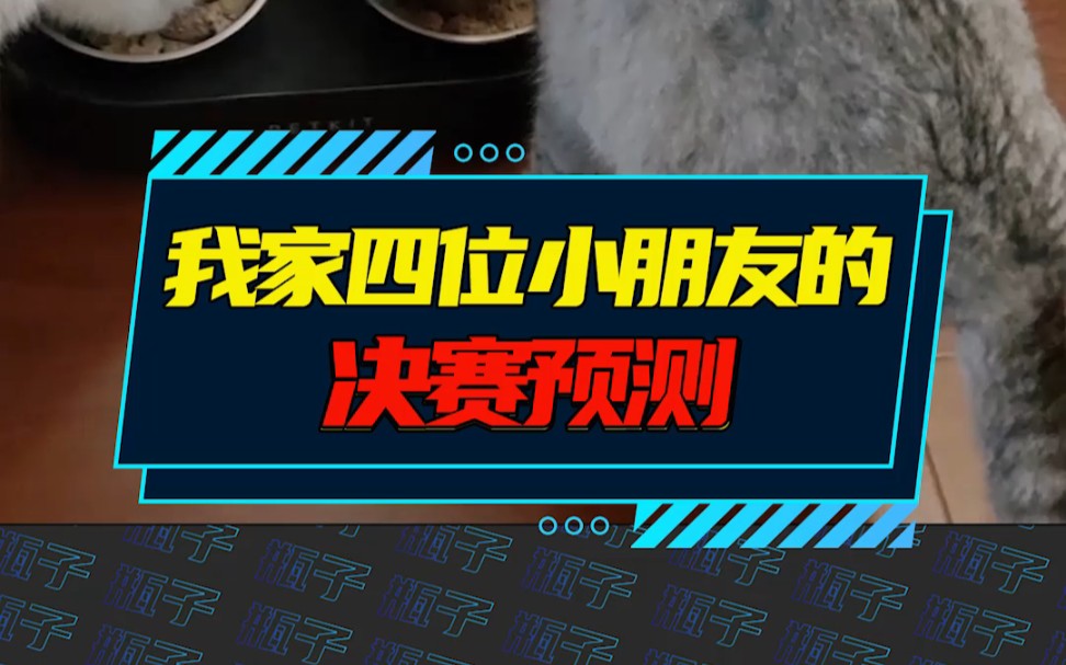 明天就是总决赛了!来点不一样的预测~