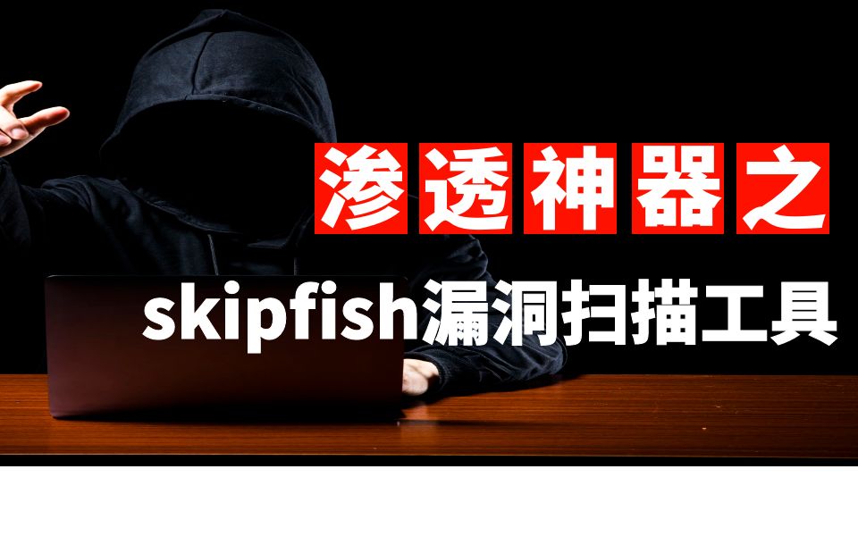 skipfish漏洞扫描工具哔哩哔哩bilibili