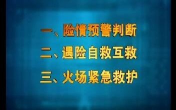 [图]森林防火紧急避险视频