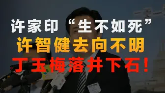 Télécharger la video: 许家印终于被清算了！前妻丁玉梅落井下石，大儿子去向不明！