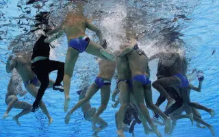 男子水球 哔哩哔哩 Bilibili