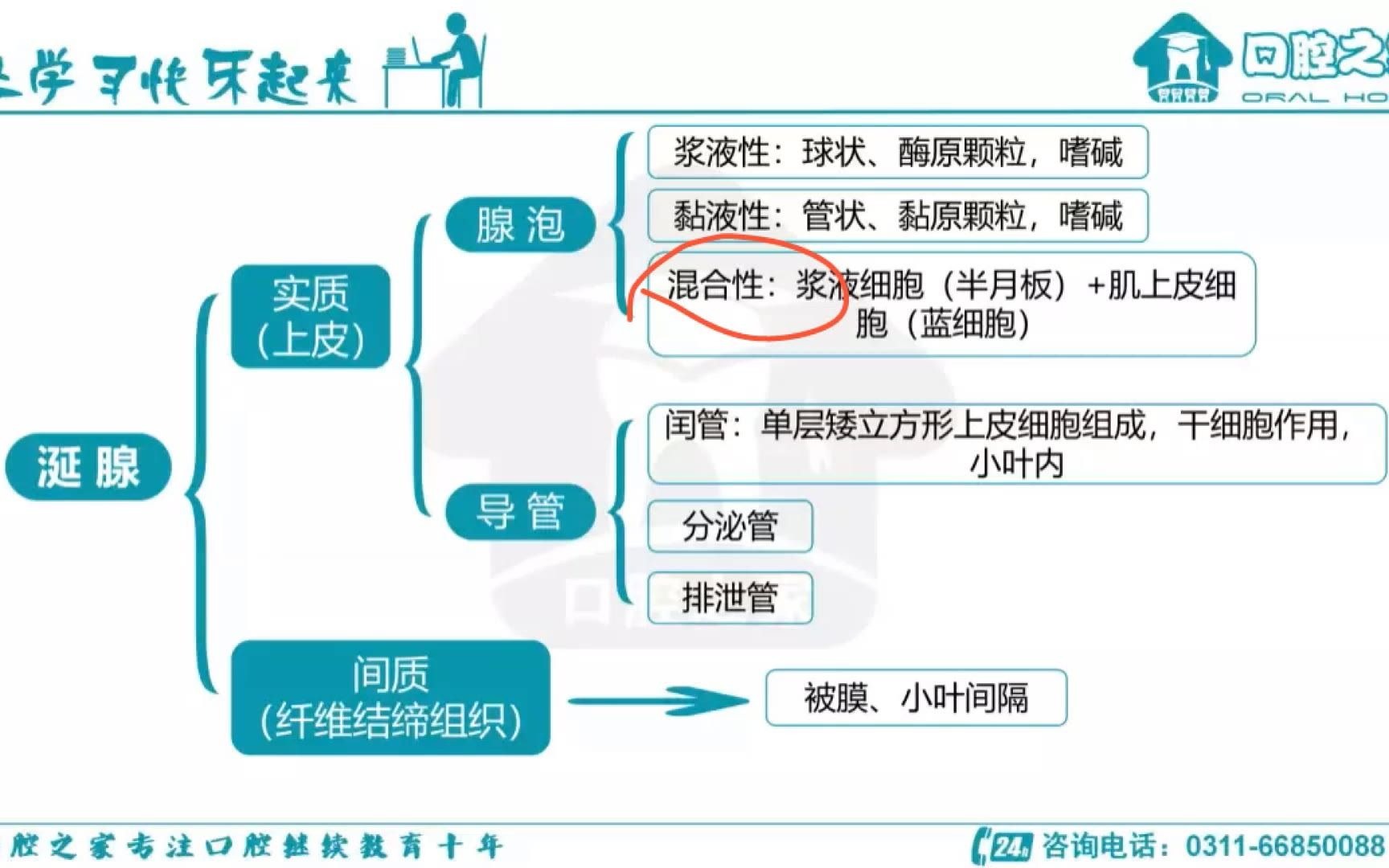 【口腔之家】口组唾液腺组织结构哔哩哔哩bilibili