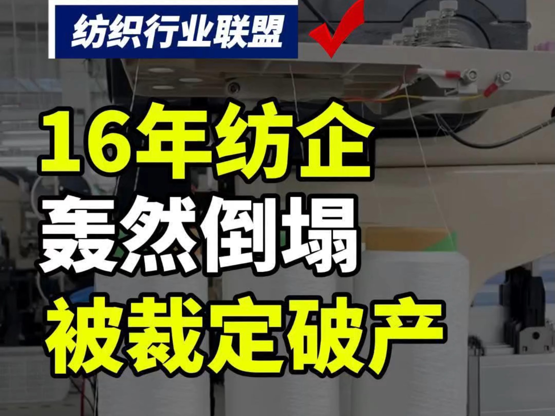 第119集丨16年的纺织企业被裁定破产!#纺织联盟 #纺织行业 #纺织群 #纺织行业交流哔哩哔哩bilibili