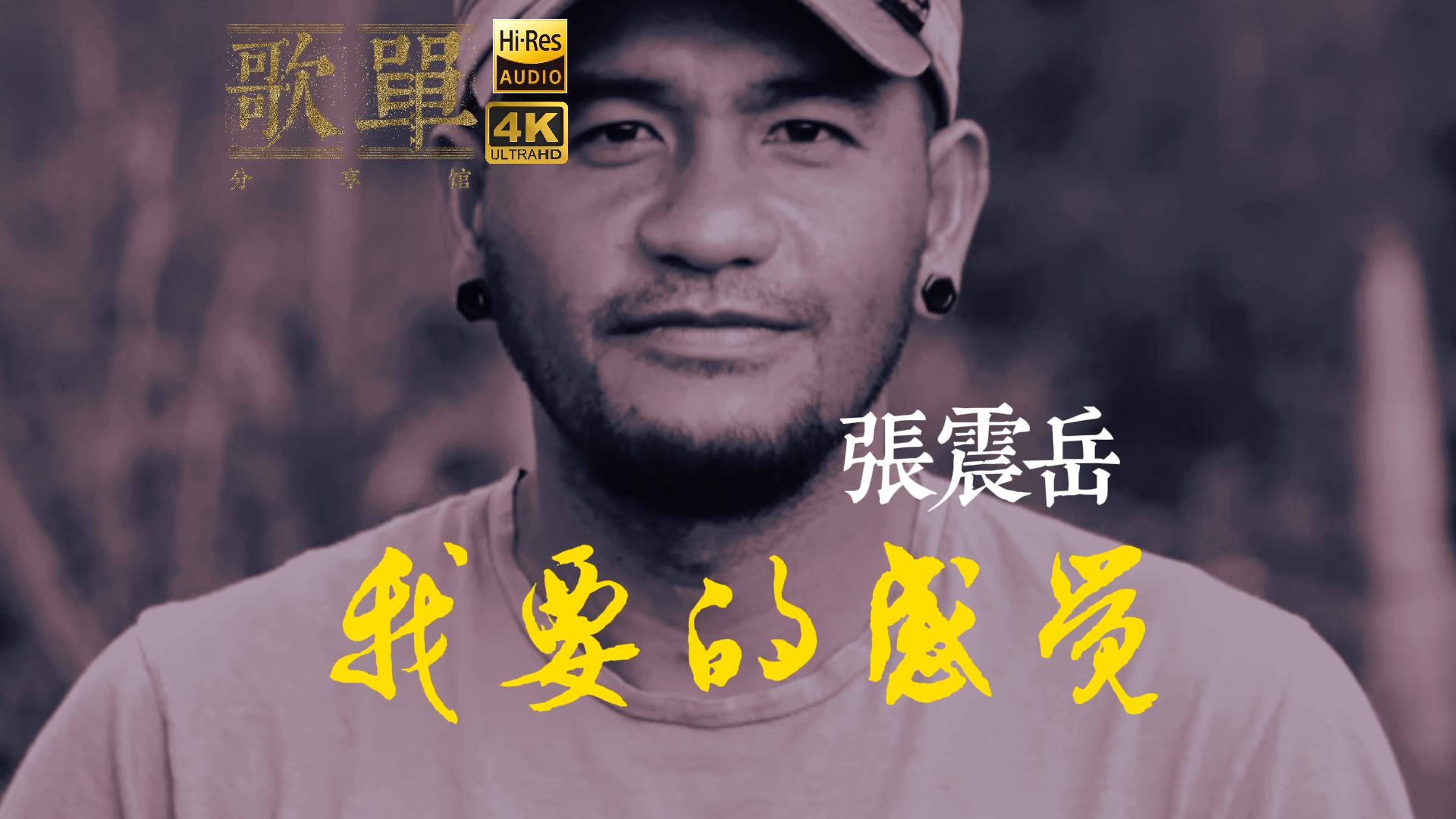 张震岳歌曲(张震岳歌曲十大经典)