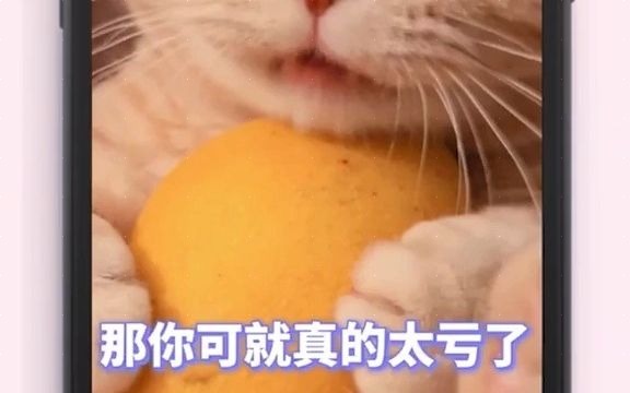 淘客大麦网优惠券兑换哔哩哔哩bilibili