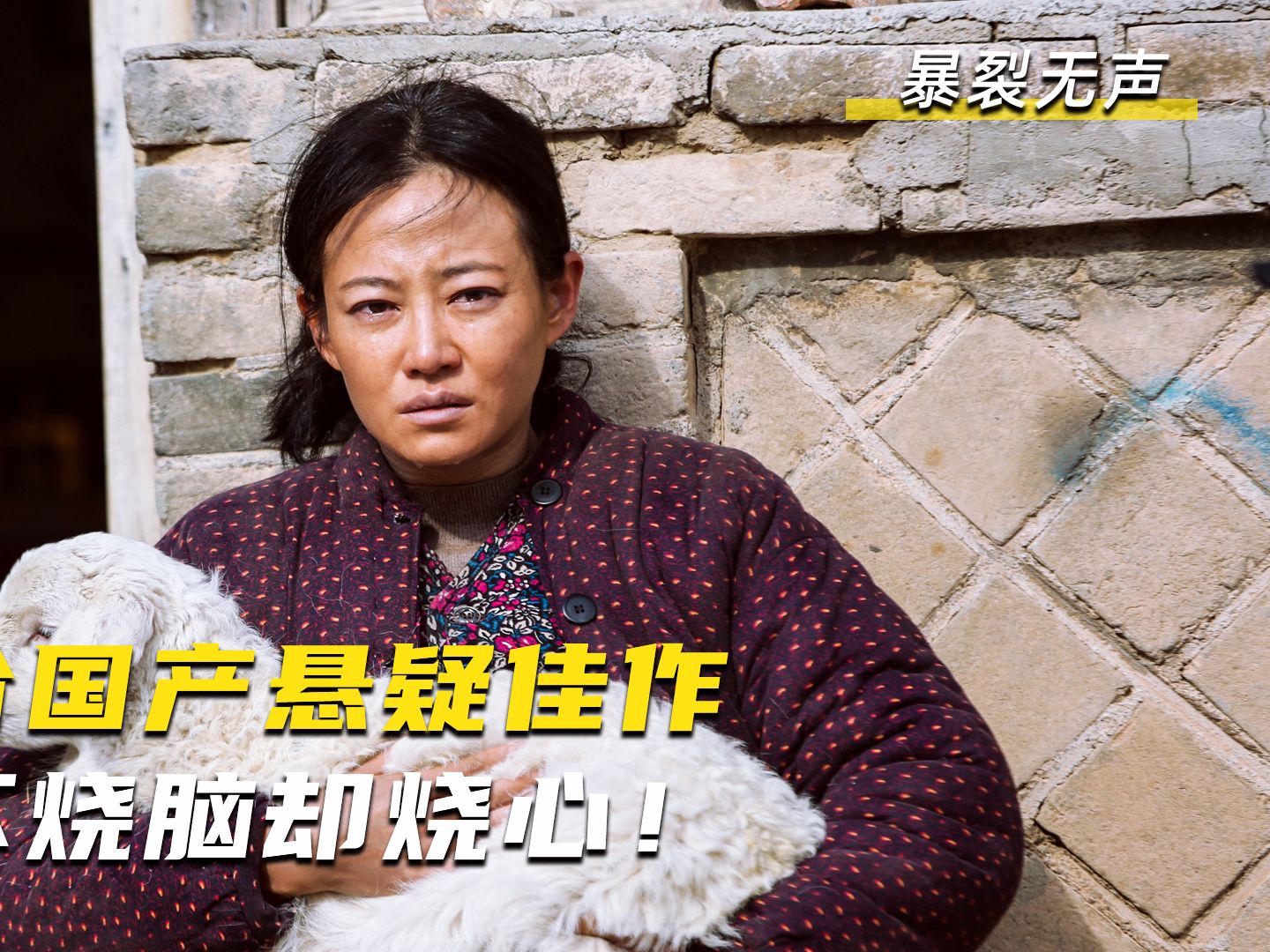 不到最后都看不懂的国产悬疑佳作《暴裂无声》