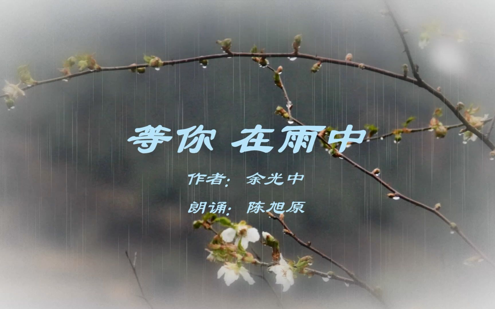 [图]余光中的诗《等你 在雨中》优美抒情，温馨和向往