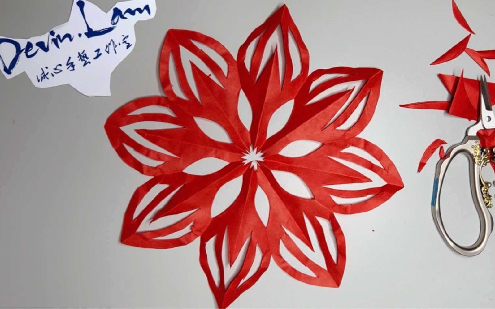 大梨花剪纸教程零基础教学