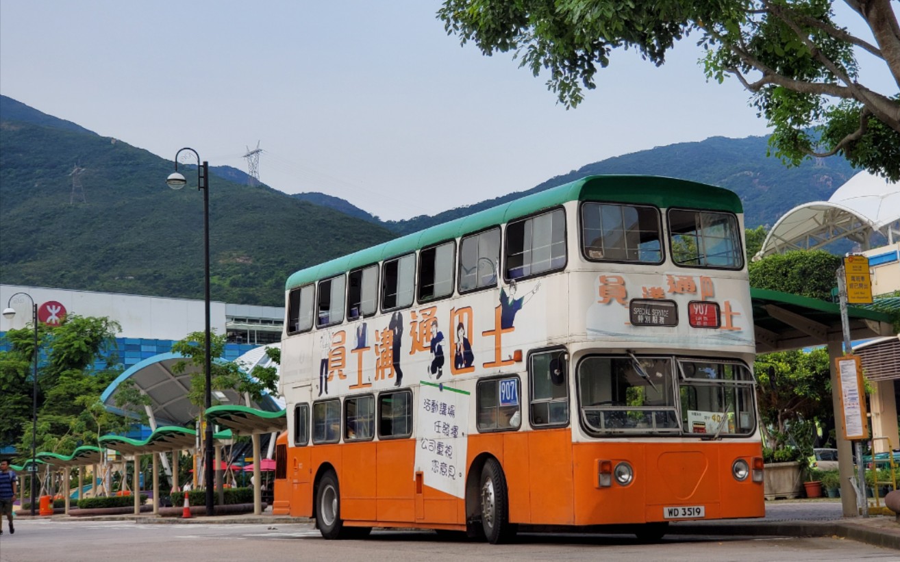 jumbo bus hong kong 前sf15 (cd1446)@珍宝巴士游 daimler fleetline