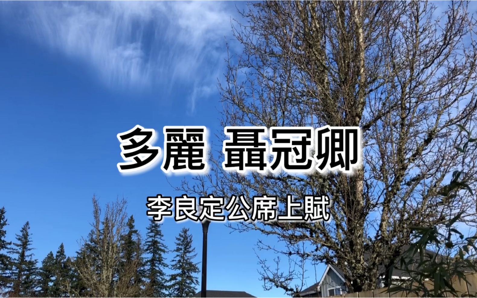 粤语朗读宋词三百首,聂冠卿《多丽.