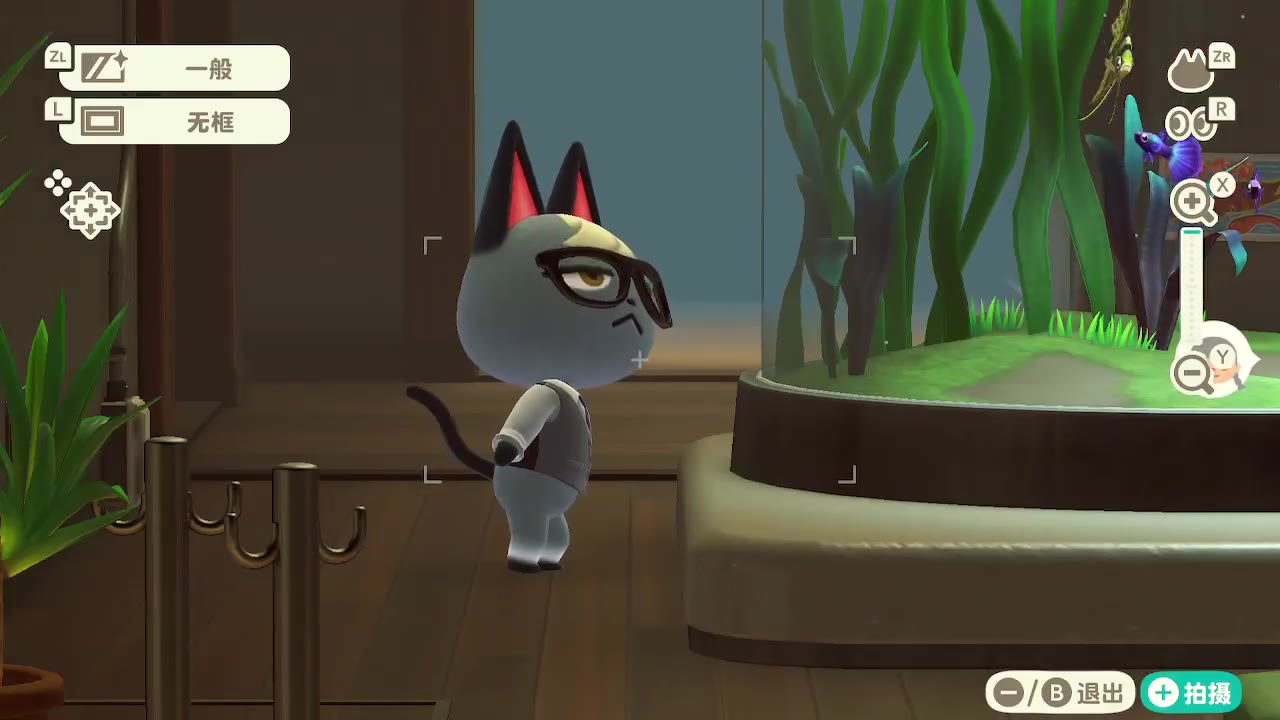 【动物森友会】叫杰克撅屁股猫的来源