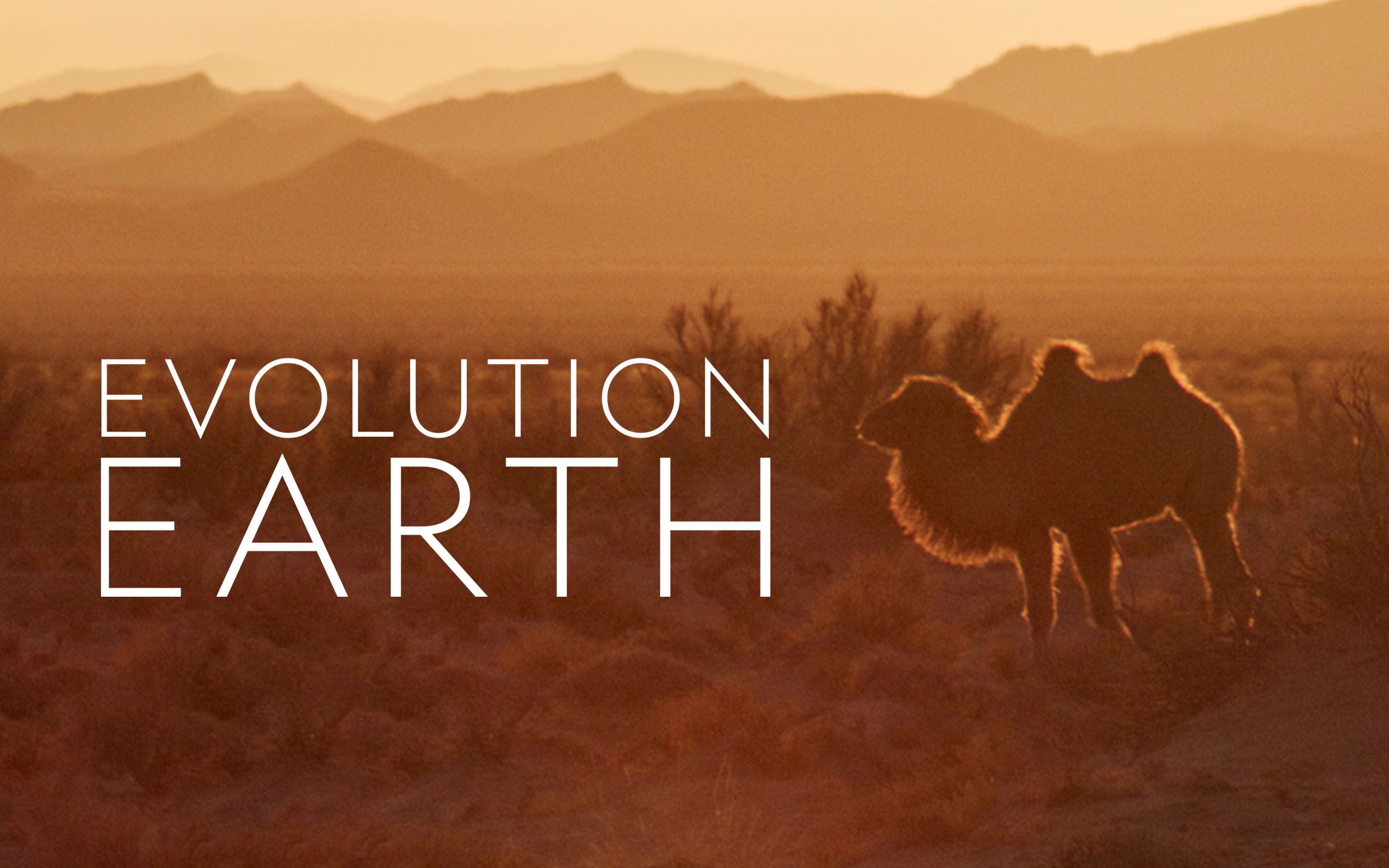 进化的地球 evolution earth