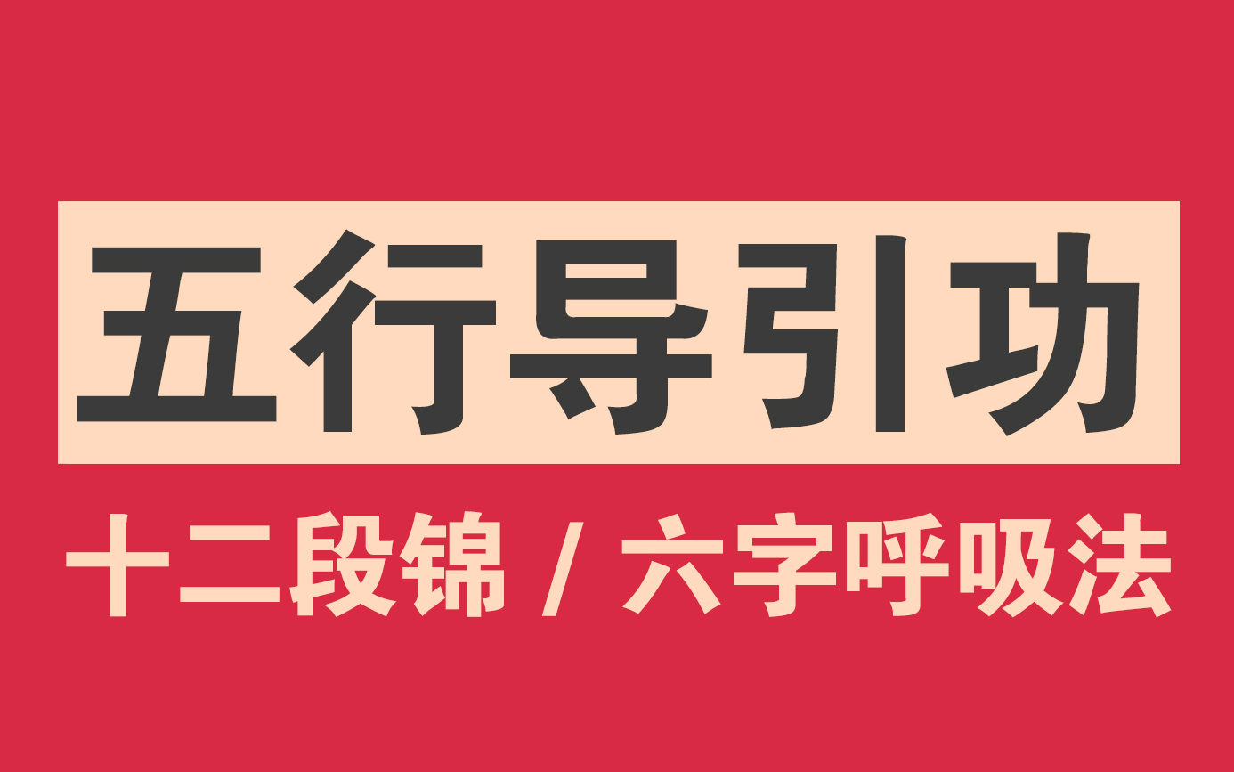 李在峰五行导引功全套带练虎形龙形鹤形蛇形龟形教学视频,引气归元桩十二段锦六字呼吸法完整版高清课程哔哩哔哩bilibili