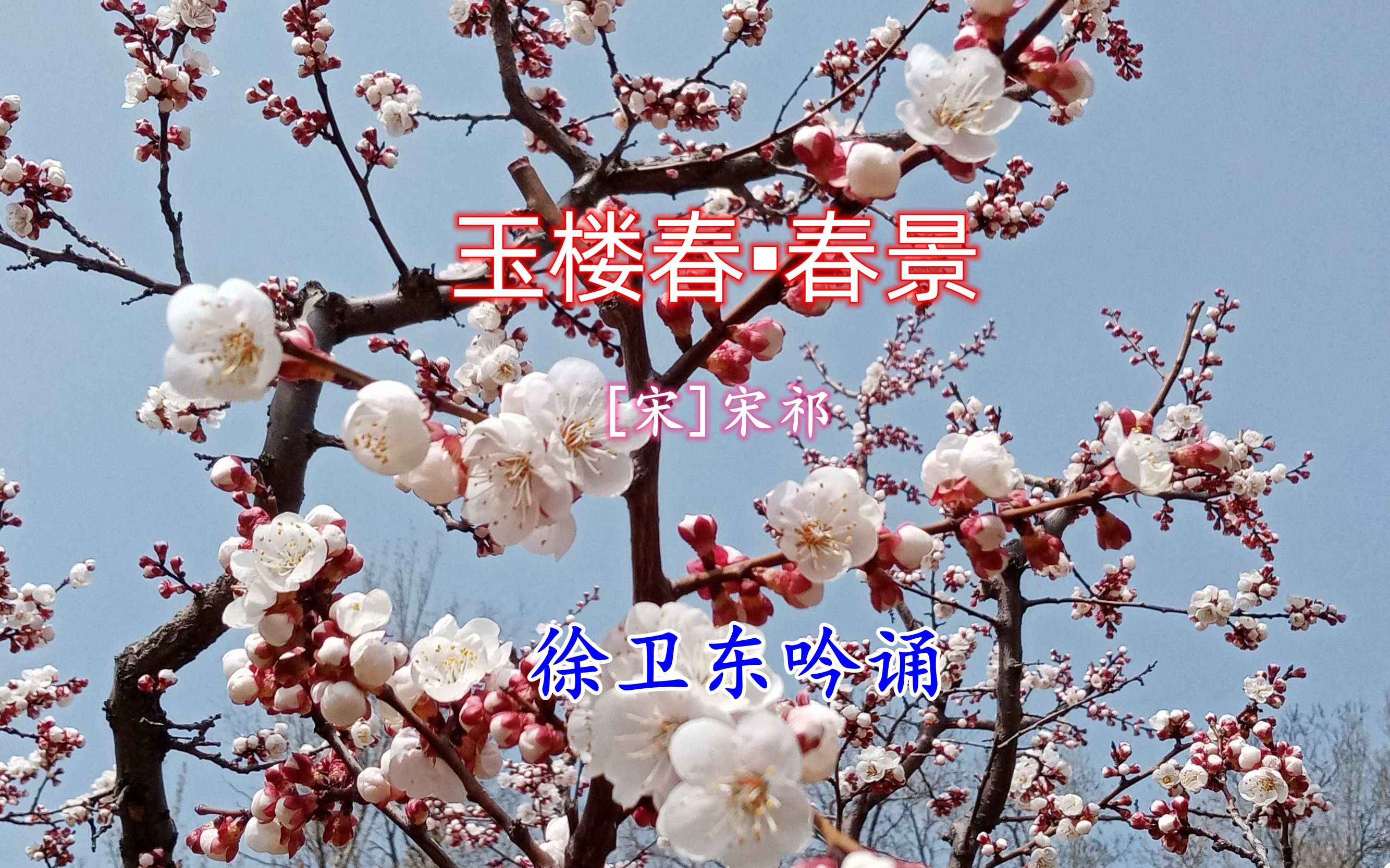 《玉楼春74春景》(宋祁),徐卫东教授吟诵,好听好看又好学