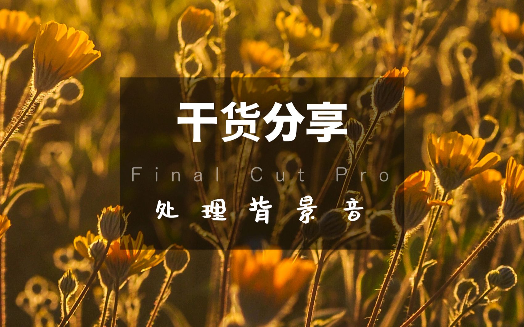 Finalcutpro如何更好的处理背景音哔哩哔哩bilibili