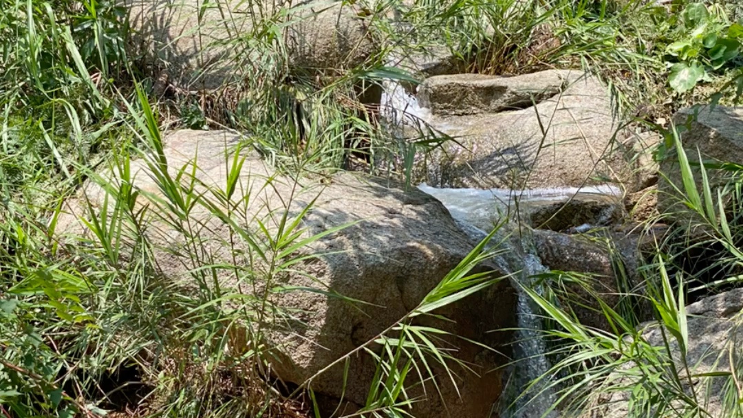 [图]暴雨后，马鞍石水库，崖陡草深，76岁老妈探路鹦鹉石