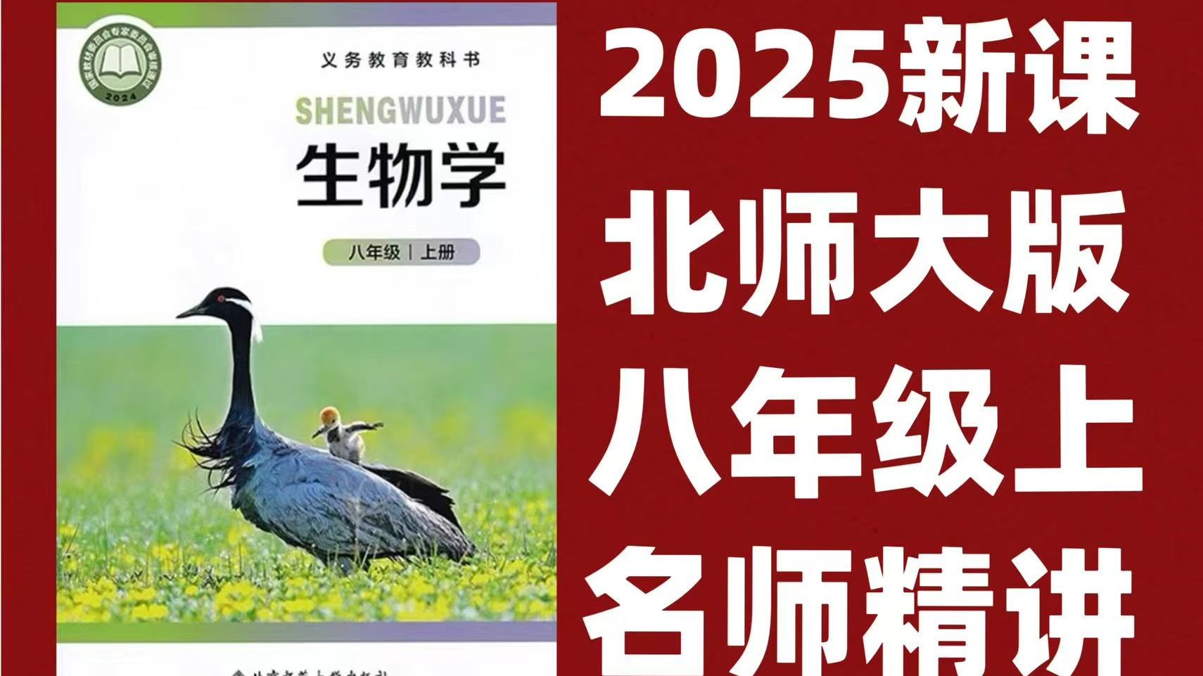 全66集【2025新教材 北师大版生物八年级上册】2025新教材北师大版生物，八年级生物上下册生物视频课本同步精讲