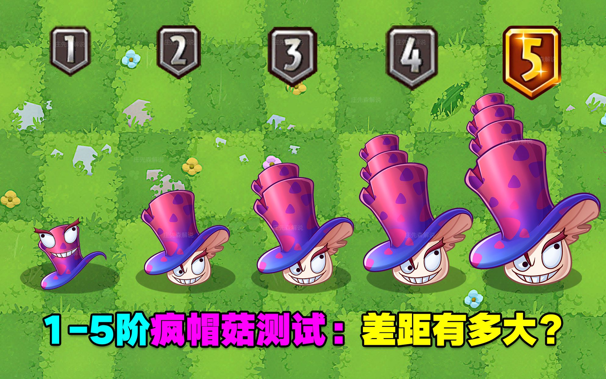 15阶疯帽菇测评:花里胡哨传送技能,属于收藏植物?PVZ