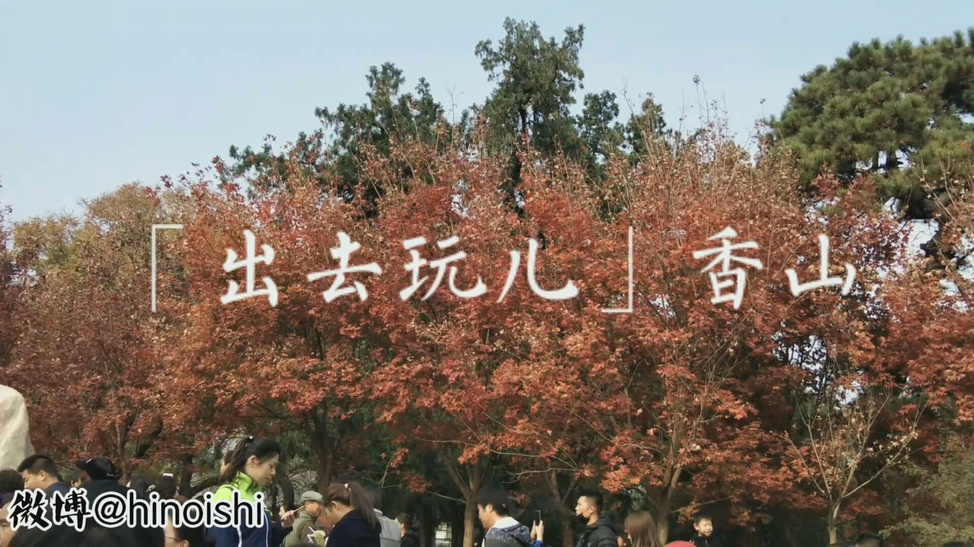 出去玩儿20181103香山公园看红叶