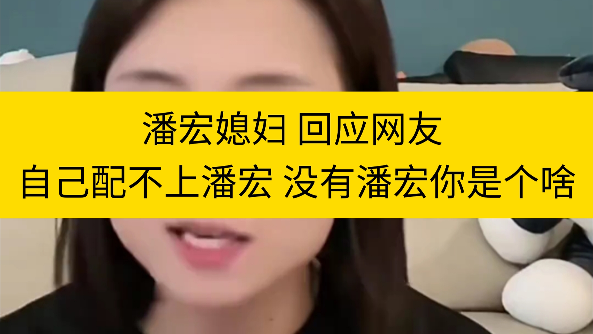 潘宏媳妇 回应网友 自己配不上潘宏 没有潘宏你是个啥哔哩哔哩bilibili