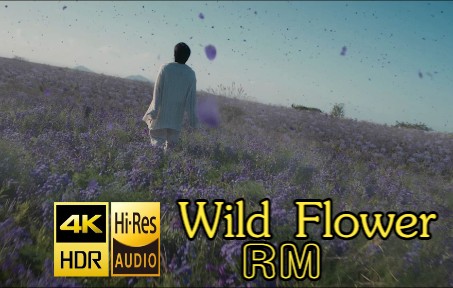 [图]【4K】RM金南俊-Wild Flower 野花游戏