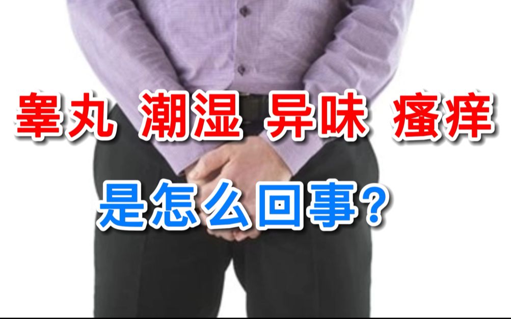 【男性健康】阴囊潮湿丨有异味瘙痒丨是怎么回事?哔哩哔哩bilibili