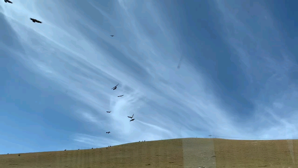 有看见山鹰在寂寞天上飞