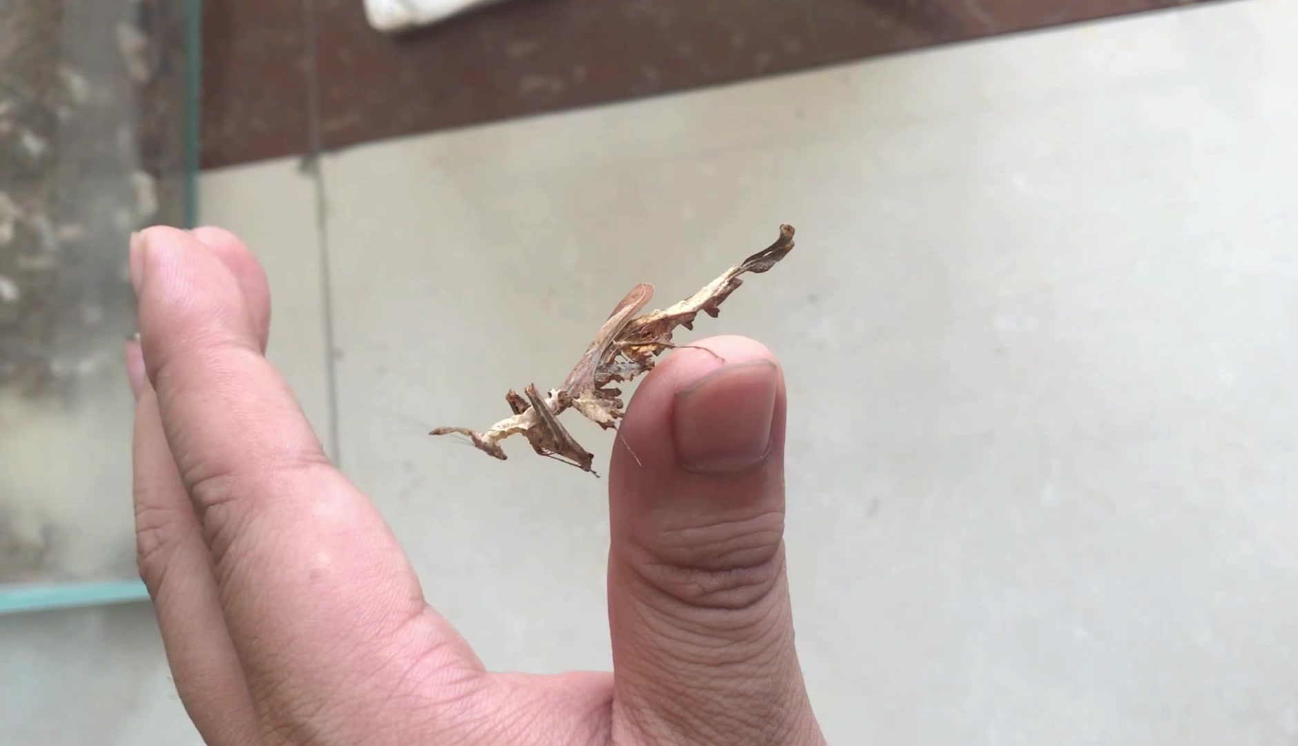 龙螳_哔哩哔哩 (゜-゜)つロ 干杯~-bilibili