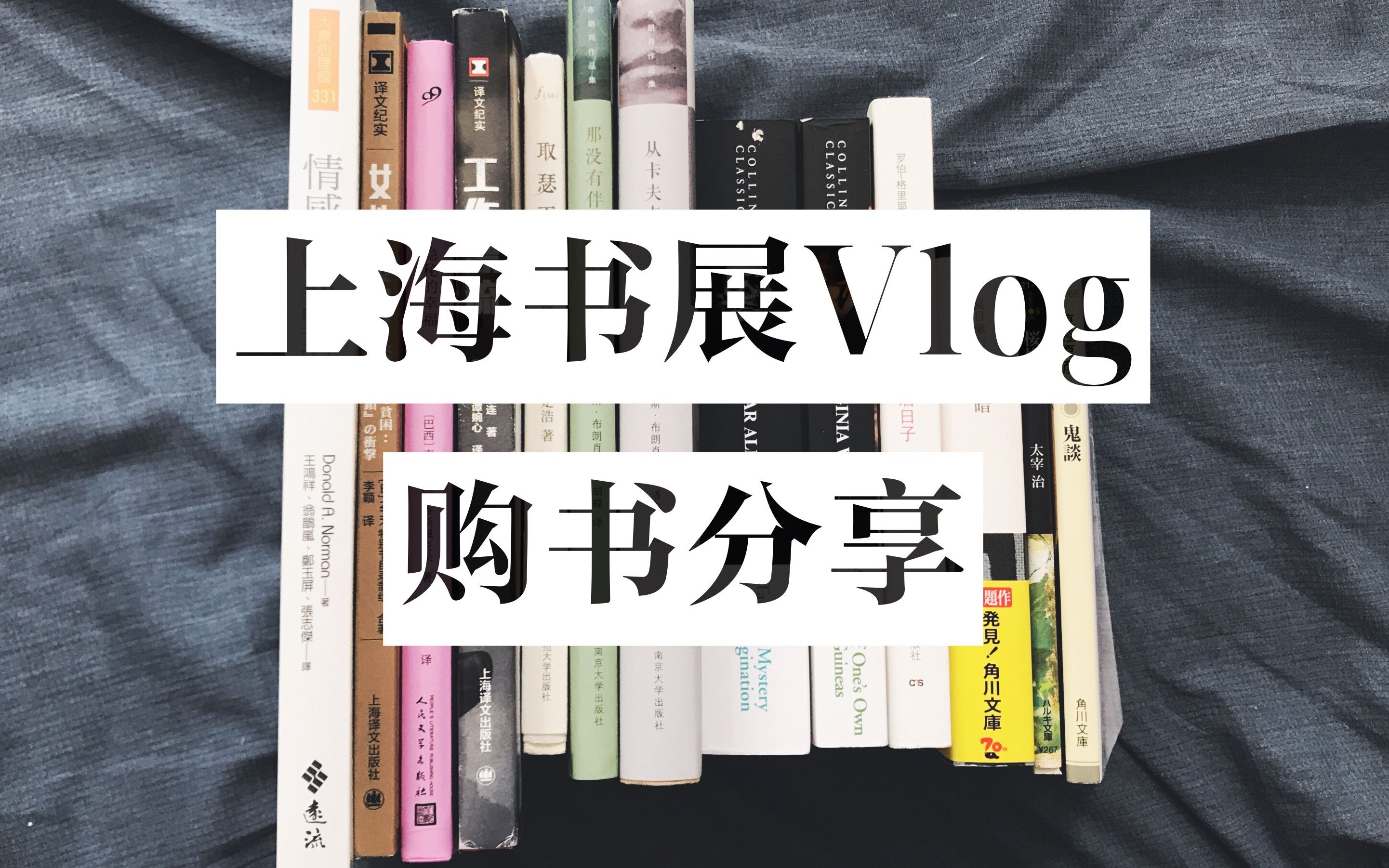 【桑桑】2019上海书展vlog | 购书分享 Book Haul哔哩哔哩bilibili