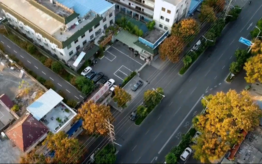 无人的街道,疫情赶快过去._哔哩哔哩_bilibili