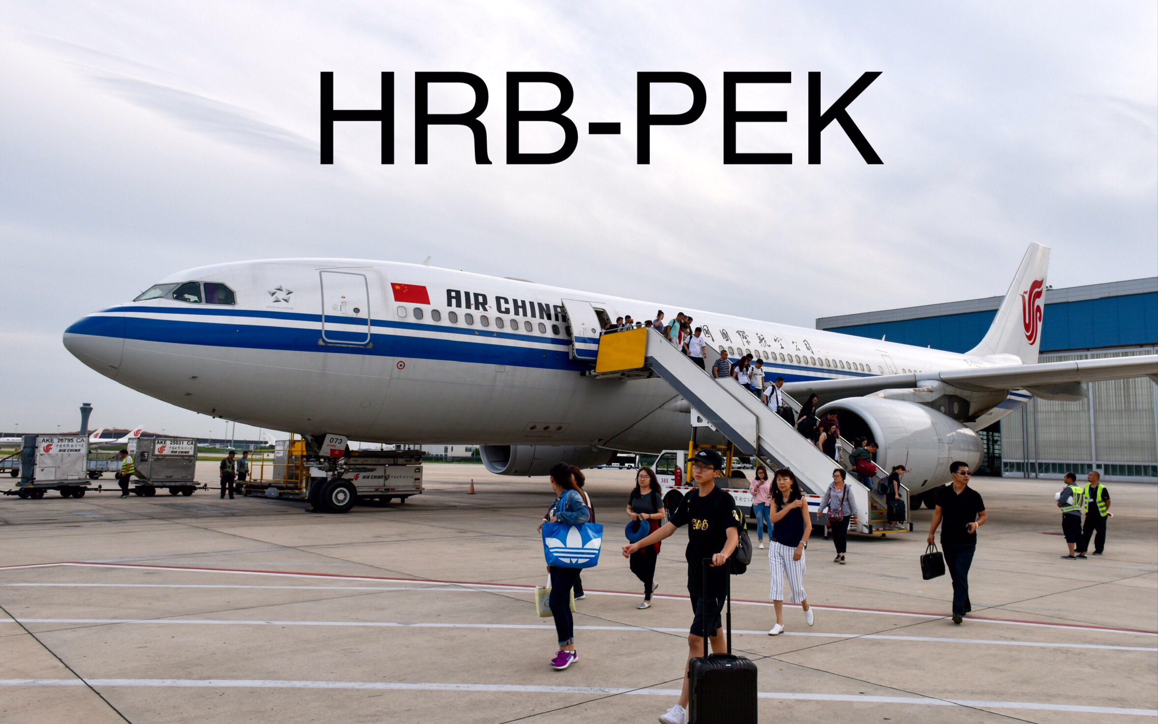 飞行记录第3期 哈尔滨太平HRB北京首都PEK (毛机砖机彩蛋多)国航A330哔哩哔哩bilibili