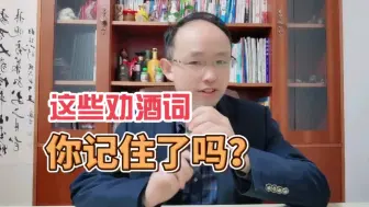 Télécharger la video: 学会这些劝酒词，你也是个酒场高手