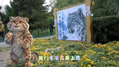 西野創人/-哔哩哔哩_Bilibili