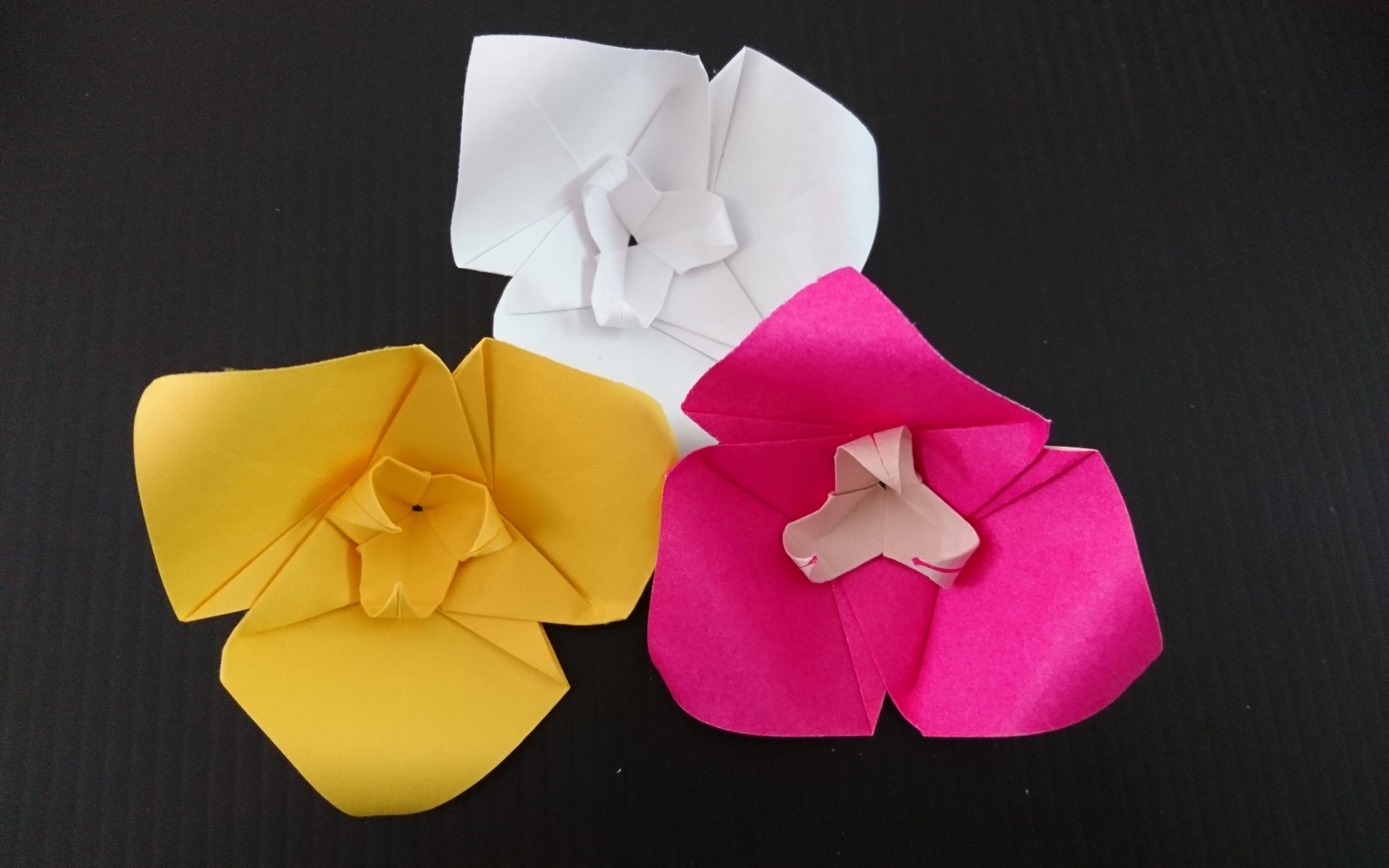 折纸三角梅/三色堇