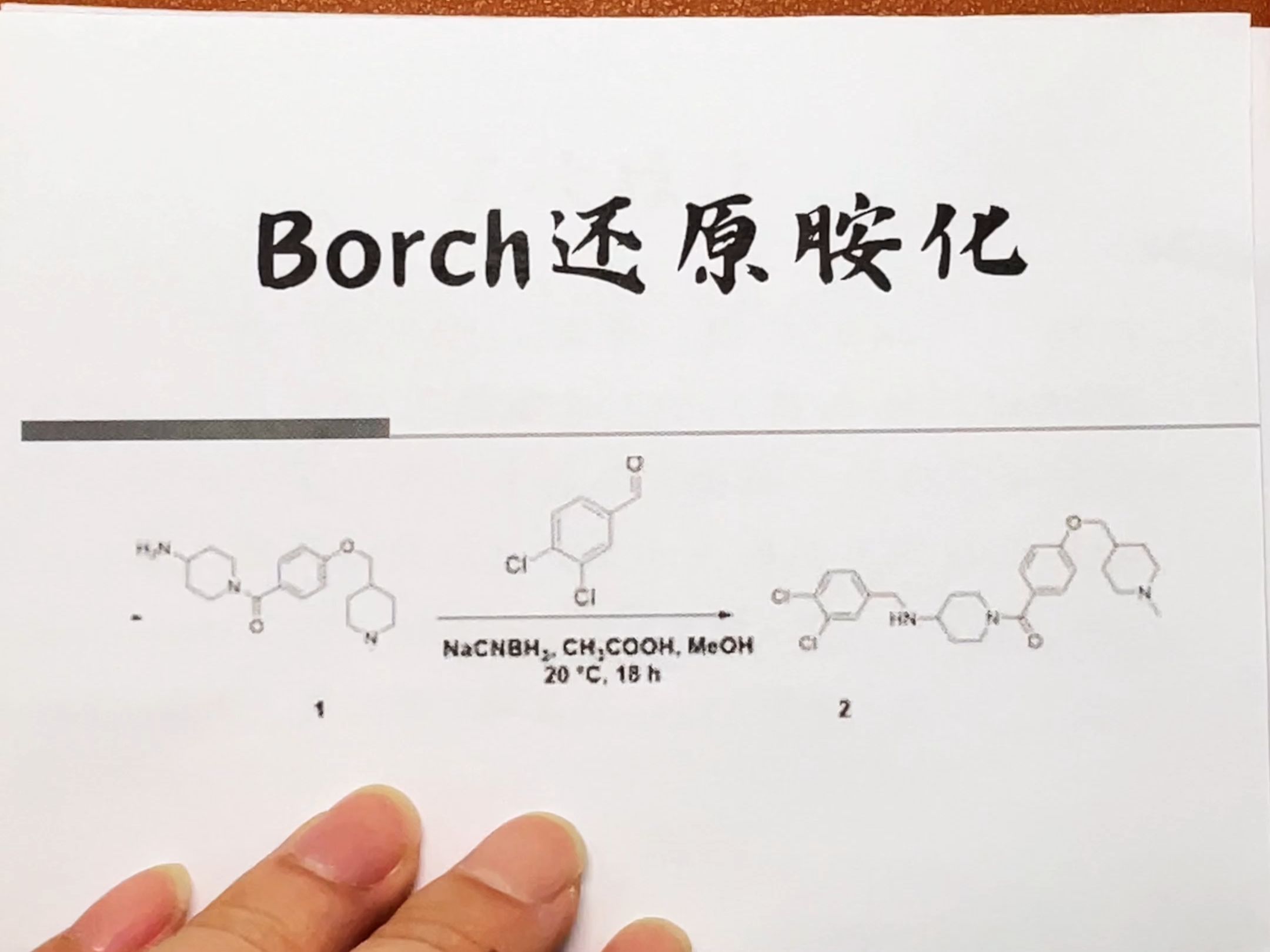 人名反应borch还原胺化反应及其拓展哔哩哔哩bilibili